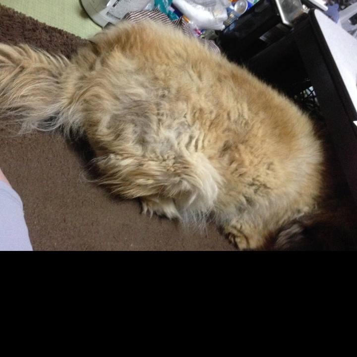 72374df3 186e 47ea 93b2 7c2ce5e8606a 1637905812459