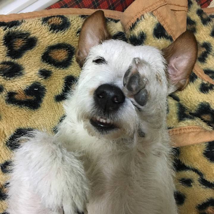 72375120 a57c 4921 a4eb 59b9521afd33 1548153969326