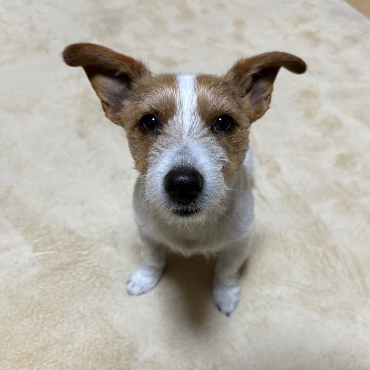 7237534d c4eb 4a57 b3a4 1f6aa427fef1 1770669642708