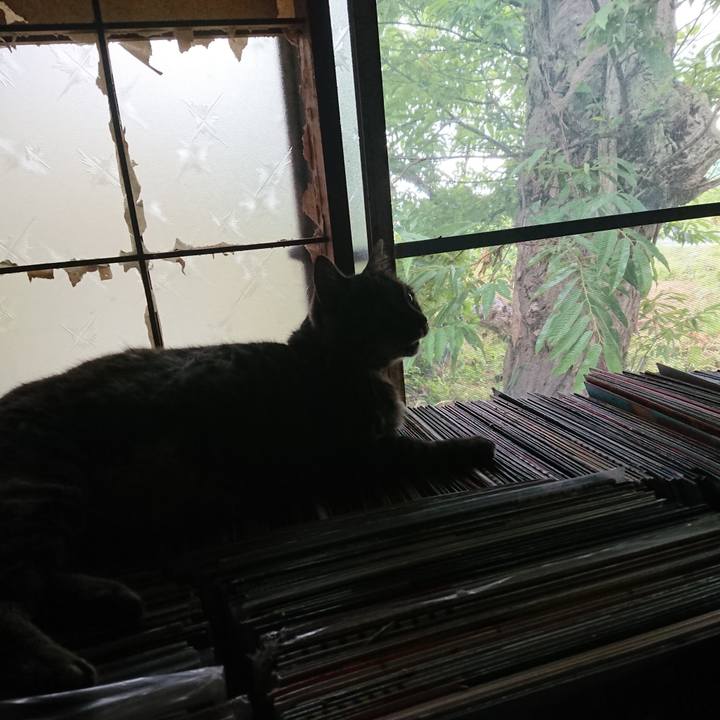 7237633b a037 4089 8b42 aee937031292 1657688211574