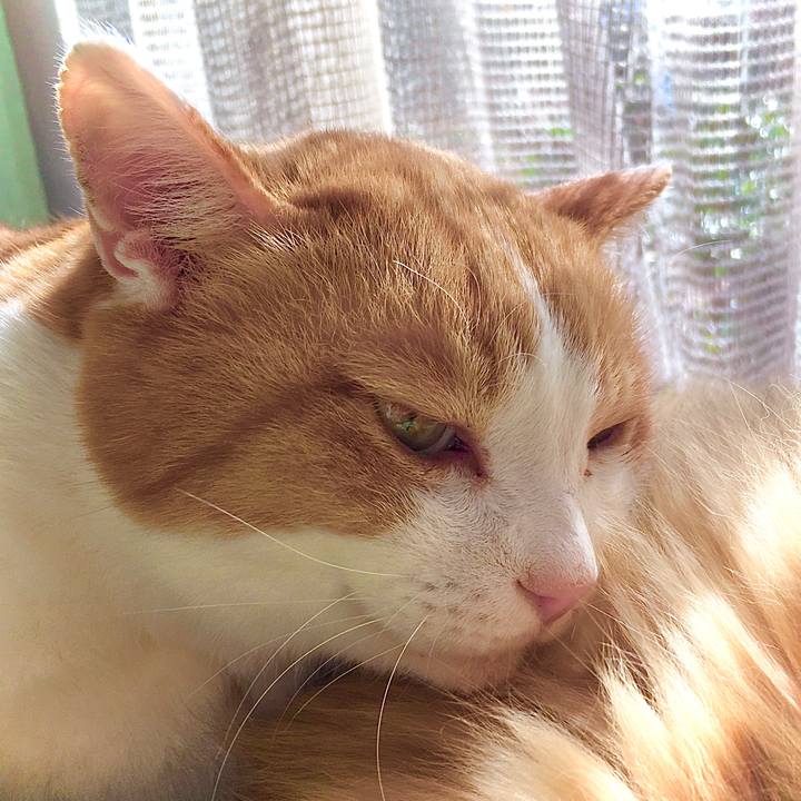 72376d63 8e48 4979 910b 251b3c792c3c 1614825381237