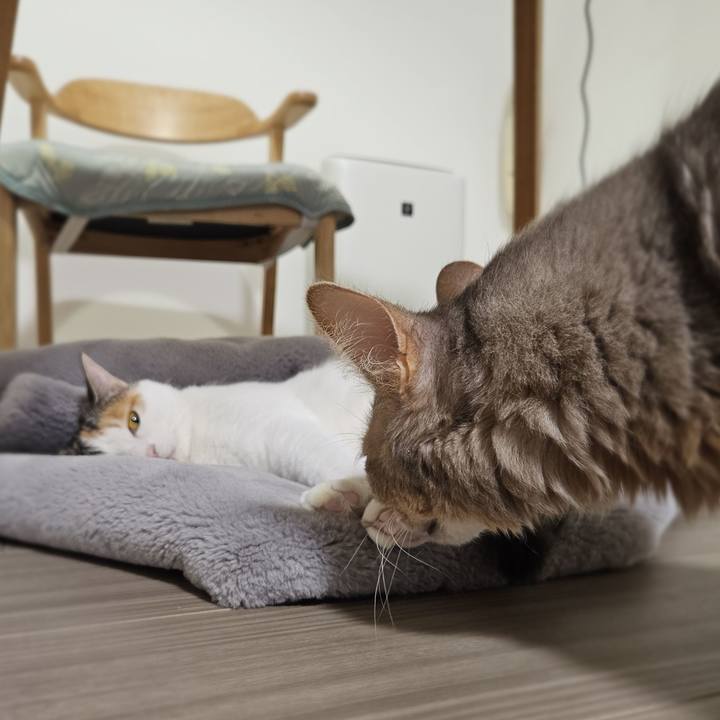 723780ca 5ae6 46bb 846c b94f7cf30558 1770042624930