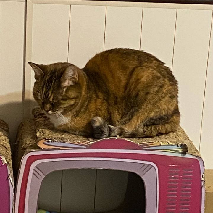 7237b2f7 b31b 43c2 9f82 e66a86923ab5 1673361742120