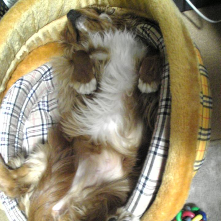 7237bce2 145f 49b2 907e 40b31e0d773f 1558763161280