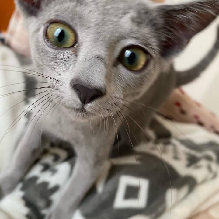 7237c063 772a 4ebc bac6 81d3511a9ac7 1596582266828