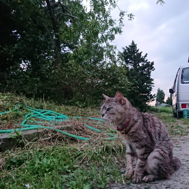 7237cfbd c801 491e 9443 20c460ea9112 1598176850169