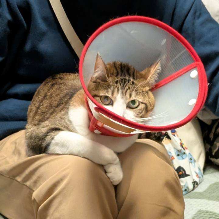 7237ef11 db32 43a4 ba7e 88f2cc02b3a6 1773015663361