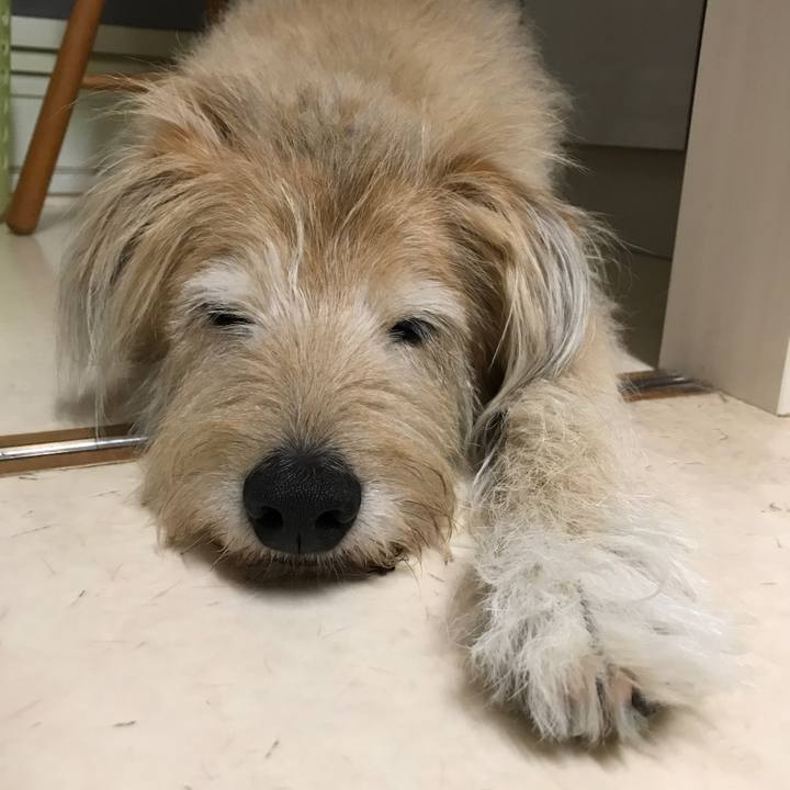 723805d3 08e3 4917 8542 673e645e269f 1566219867326