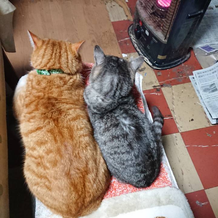 7238b2fe 51e7 44f0 8657 7ad8913d6412 1581072408093