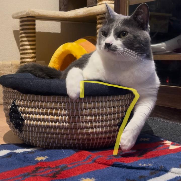 7239b7f2 c15b 4482 b93a f6563e212930 1687446897970