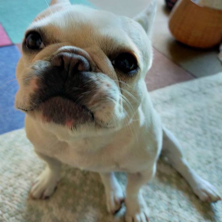 7239d10a 2088 40f5 b52c b8ce280b8335 1664146386338