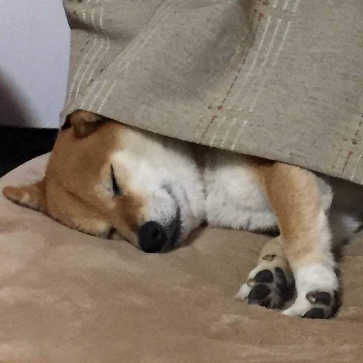 723a057d 1c3e 4025 afc5 1b5f475ab32f 1519742138515