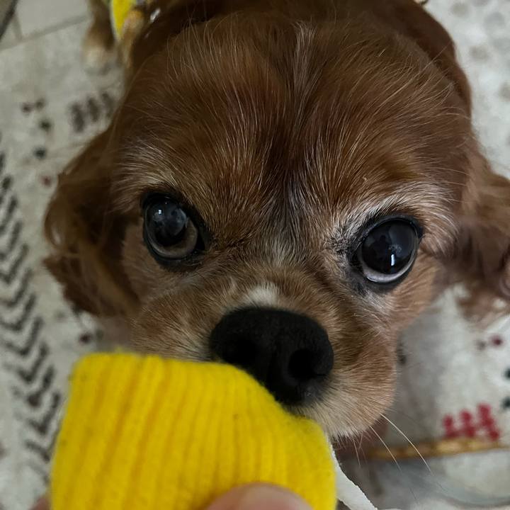 723a3812 405a 4d71 89cb 7ba1c035f6e1 1709334285270