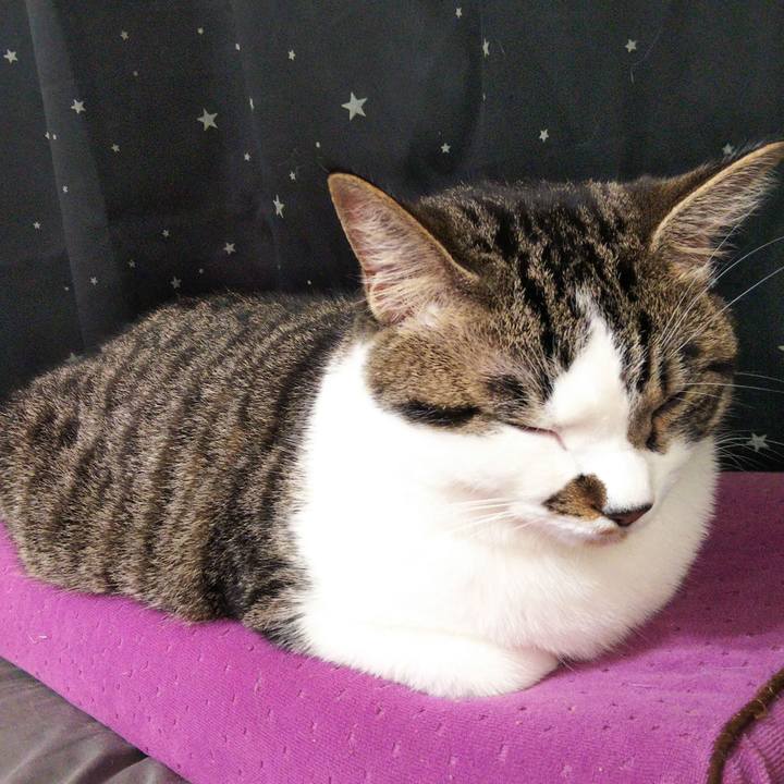 723a3e15 36ab 470f 96af 2c3e7758b4d2 1625982615042