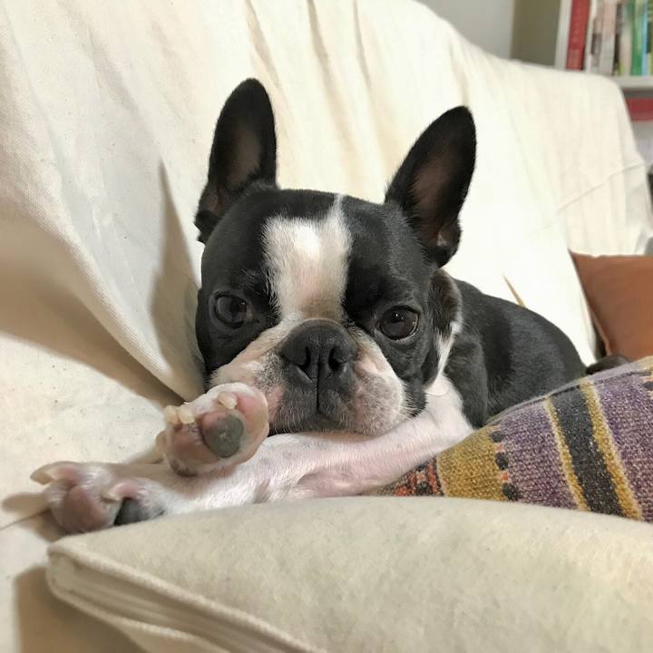 723a61bf 72c9 4edb 878f d6205a0d9917 1635425113351