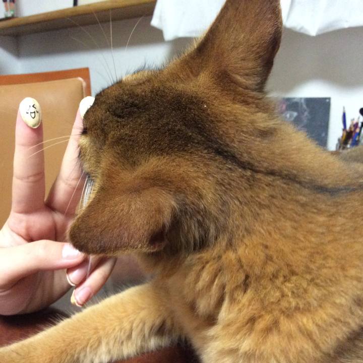 723aaa45 9722 4106 bbd4 30506e03204a 1585693453999