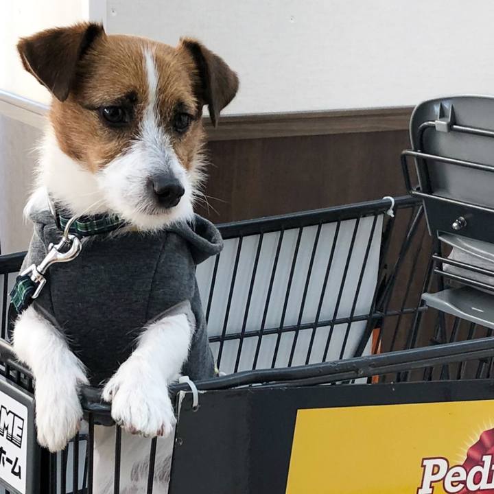 723aafb4 2c26 4c0c 88a7 9eec052c7cd2 1519647789484