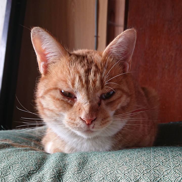 723abc4a 1db3 4d6e b7dd 83f4305c6661 1571544734690