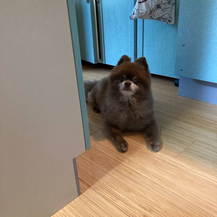 723ac764 1434 4e7a 81f3 cb9a2b40b969 1664224693292