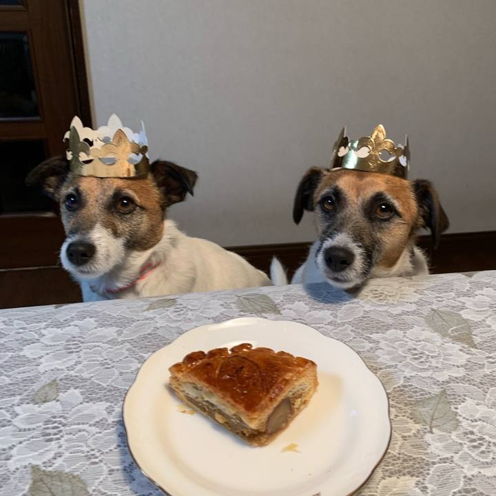 723acae1 71cb 4523 a866 45e448d44fb1 1610020173284