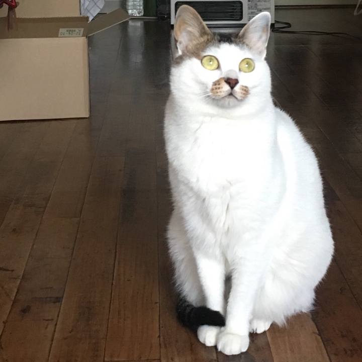 723aced0 cfda 466a bd42 ffd261afc257 1553674049601