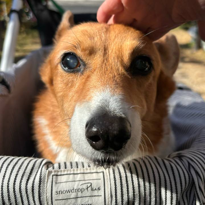 723b0761 70a1 42d1 a38d 466d5f3479b1 1733459910027