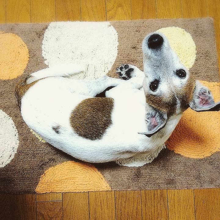 723b0c88 7c09 4f69 a35e 91a72f75daf0 1570366778901