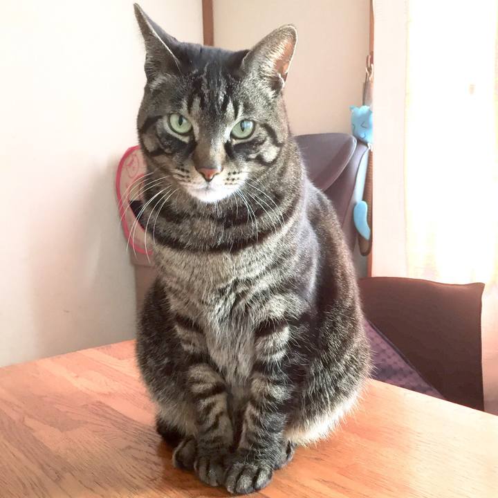 723b3579 86f6 4ebf 9ee9 2c1c7ac6e414 1555070013383