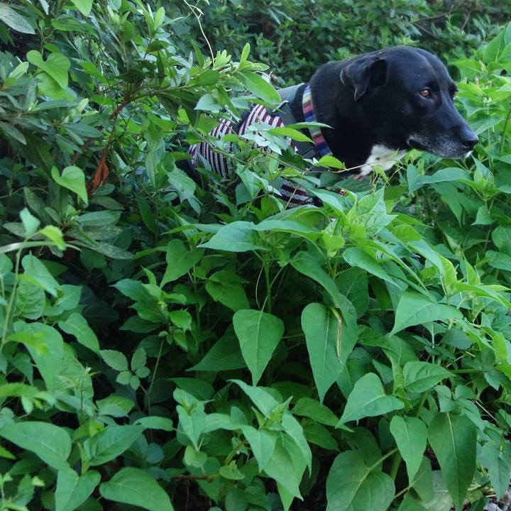 723b4063 0201 4518 ae03 93aaafdc42fb 1659138922476