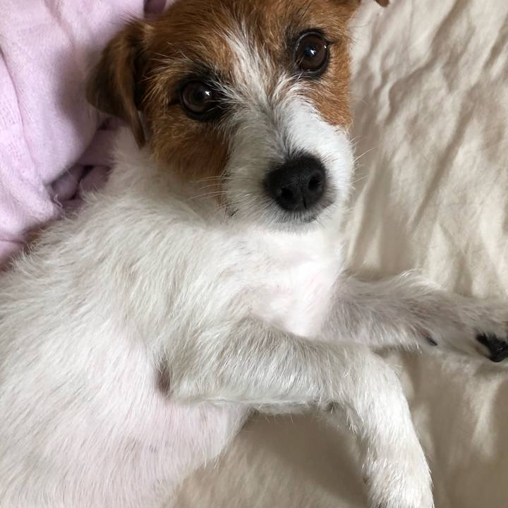 723b5569 ab91 4185 bb73 ff82cdf5d5c0 1534631976211