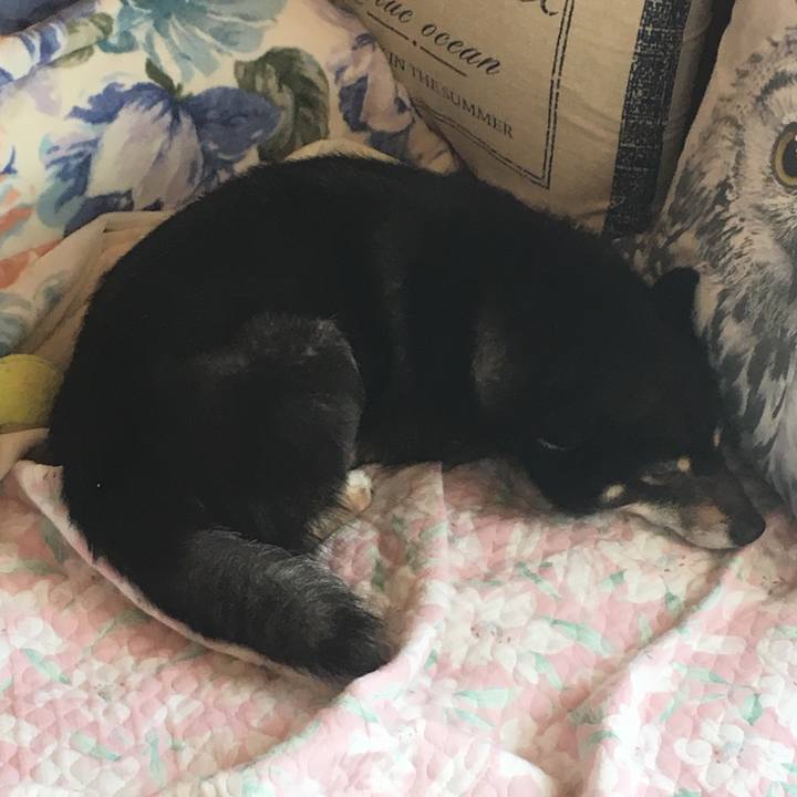 723b6e3b 1244 4934 acbf b80c2663a08d 1515646091960