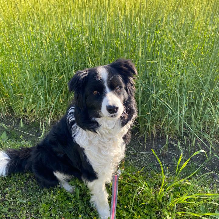 723b6e8f e456 4571 8ac5 bd9862aa9b89 1618011383489