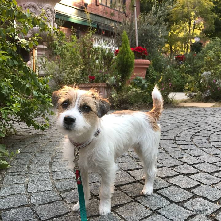 723bcc0e 0692 4c6e adf6 f8e01104143d 1766321842673