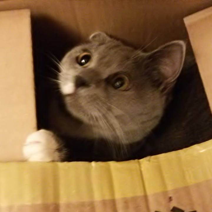 723beadd 8b2c 4a62 84dc bfe9d9d65134 1543232704784