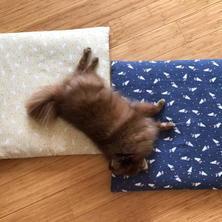 723befd1 643d 4d3c ba67 9bab1b0a513a 1565227407894