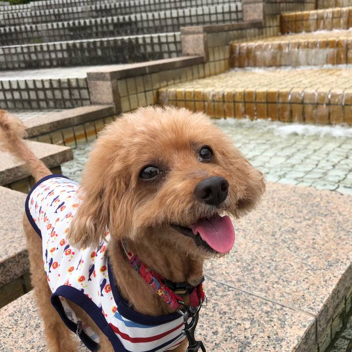 723c1cba f508 4eb0 ae14 fbb5e579aad5 1565490424905