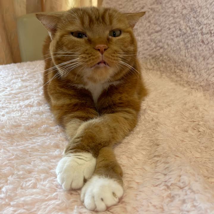 723c7dfa 70ad 4475 8700 5fa4015868dc 1713080431951