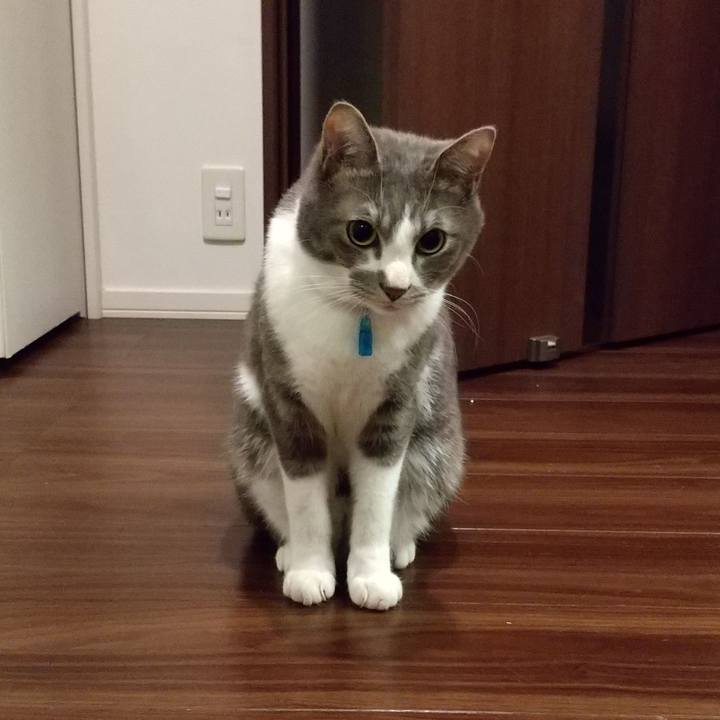 723c8449 700c 4179 b317 dd3def9e7b47 1613425488960