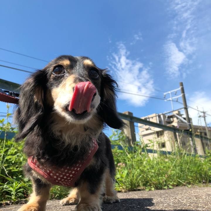 723d1046 4598 4eb2 9ba3 6d26727651fb 1589158571061