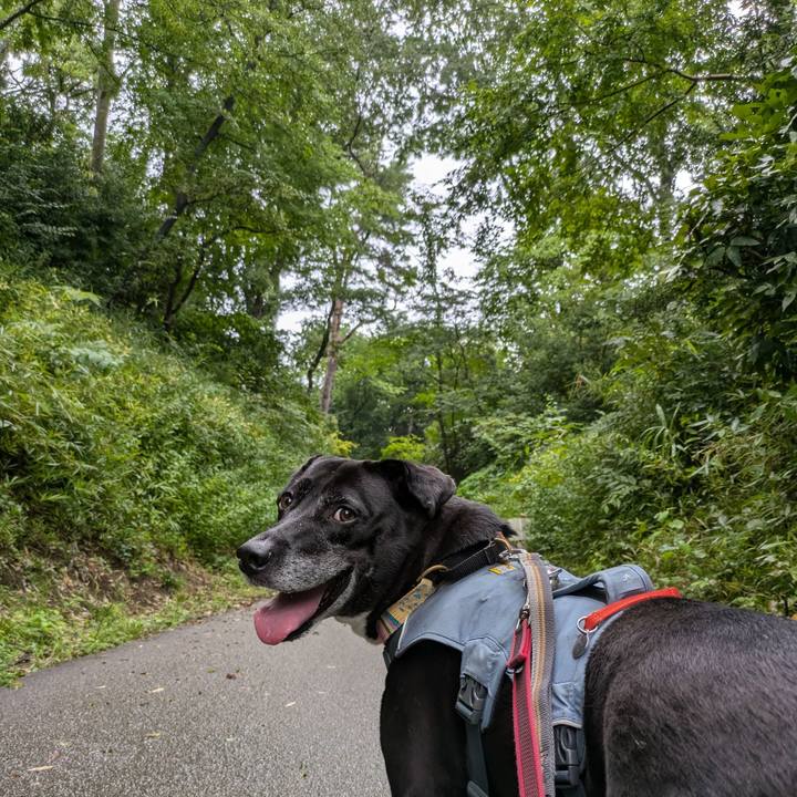 723d400f 6c78 45f0 9547 36ac82bab8e9 1724112796018