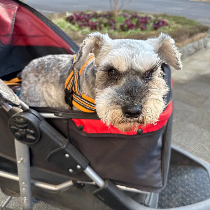 723d4194 7b7a 4322 971e 237089951b83 1742634477166