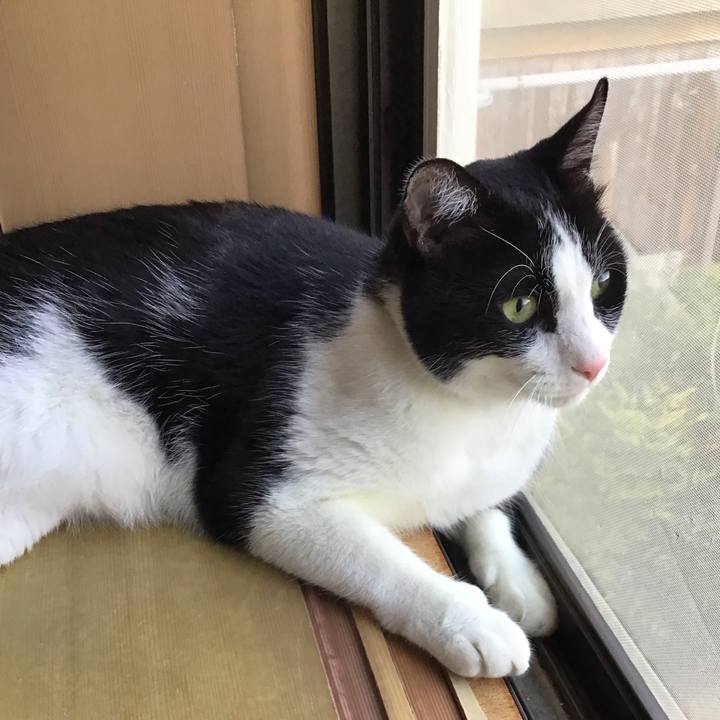 723d6f6d 0101 41ee 9069 eac5d39f211d 1751281214869