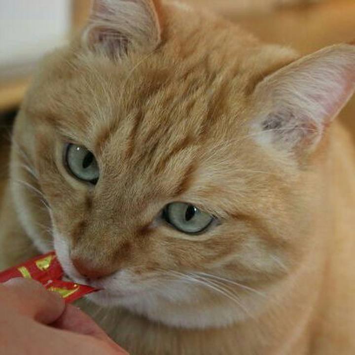 723d89f7 0a38 4a5f ad70 c500590cc80b 1516446091353