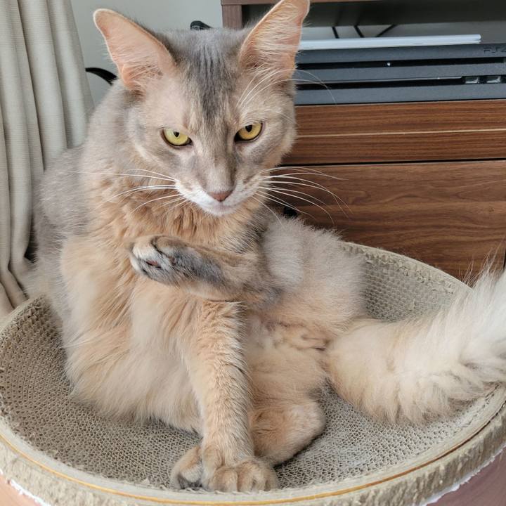 723da023 43f3 4190 884a f4ec2a599234 1661912783265