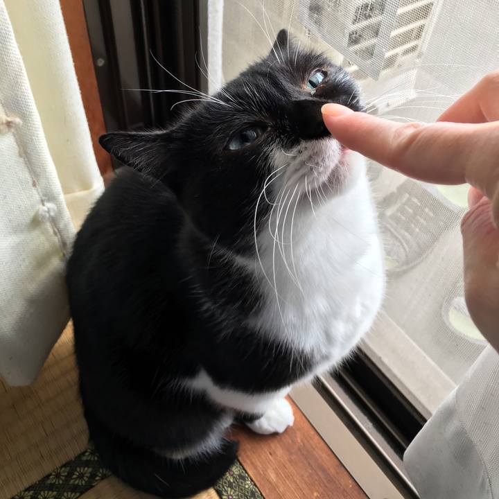 723da261 0db2 4acd 8374 fd6506a0d32d 1574147783804