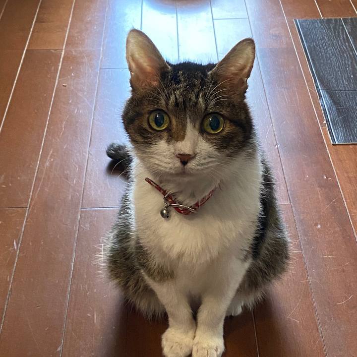 723dfe01 927e 4802 a852 db8ad48a5660 1592965555593