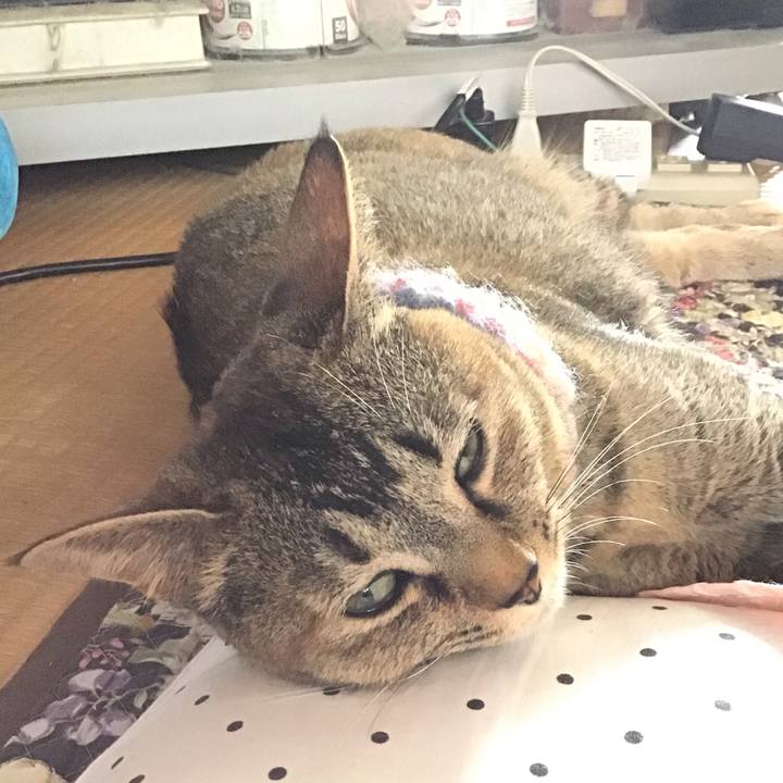 723e533e 2dfc 4d2c 9a14 575432cab554 1621662211832