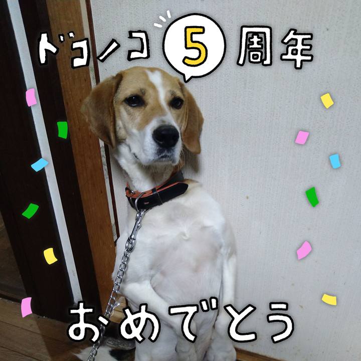 723e9b70 8460 49de 8922 92835cc4fb91 1623826919020