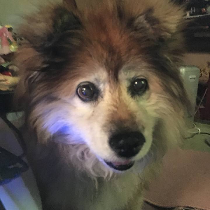 723eb113 bd4a 4164 882a bf0886b7a962 1568247546401