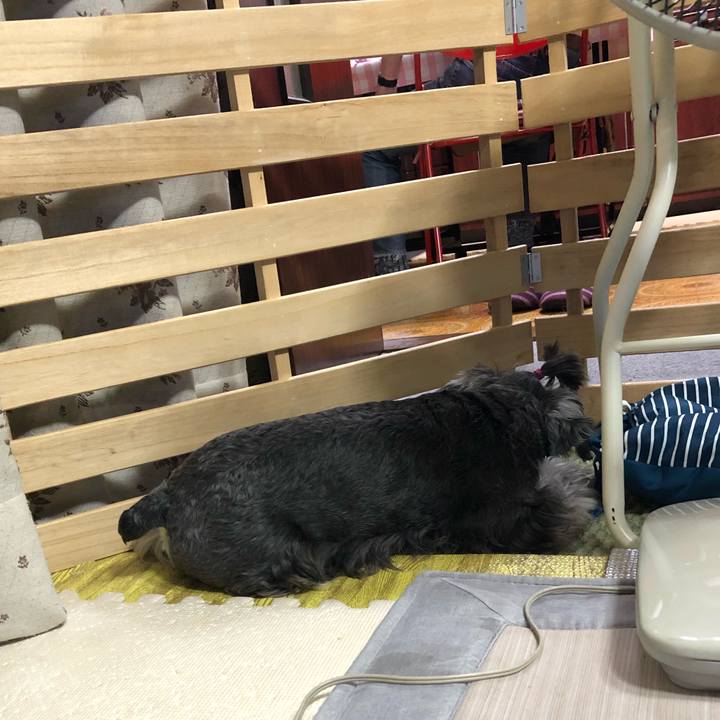 723eca61 3c5e 4752 8593 ced569265eb1 1622895156990